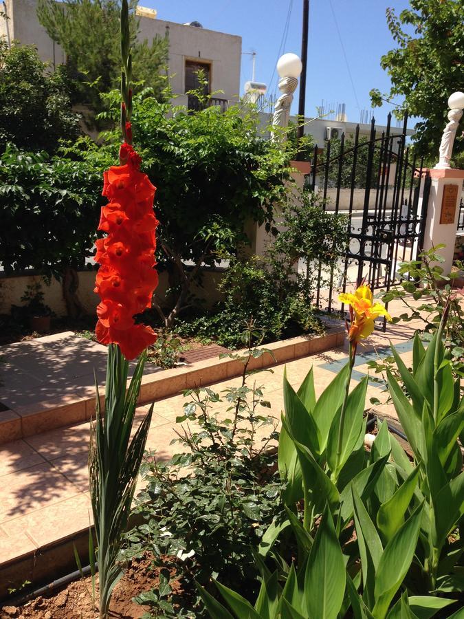 Palmira Apartments Makrýgialos 외부 사진